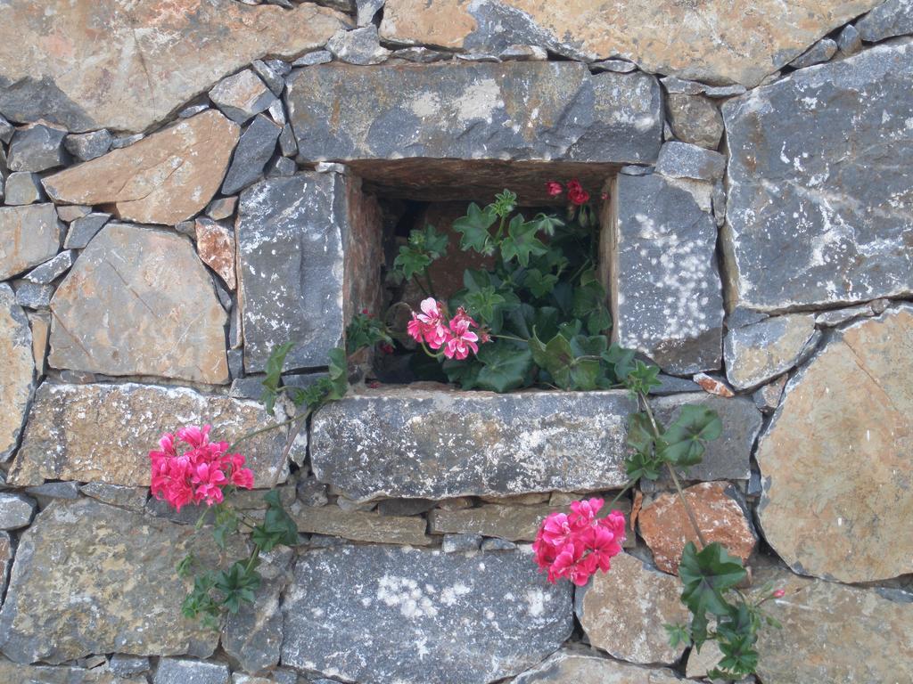 Villa Tholos Crete Kavúszi Kültér fotó